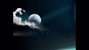 Вячеслав Бутусов   Кошка, чашка, муха и лапоть