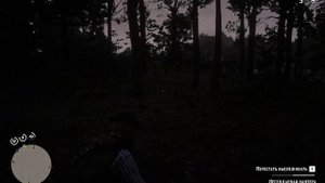 Легендарная пантера (Гиагуаро).RDR 2.