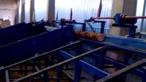 Линия сортировки тонкомера 2