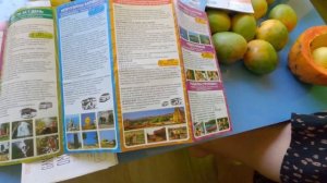 Экскурсии в Гоа. Куда можно поехать и почему мы никуда не поехали?