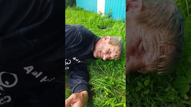 31 июля 2023 г. смотреть онлайн