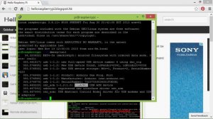 Program Raspberry Pi using Python, to receive data from Arduino