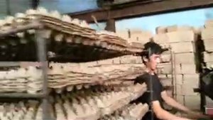 Станок по производству ячеек для яиц