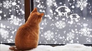 Давайте негромко,  давайте вполголоса...(Ю.Ким)