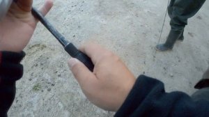 Ловля жереха на реке Дон