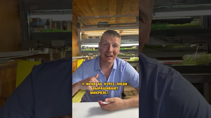 А вы пробовали выращивать #микрозелень ? #огородкруглыйгод
