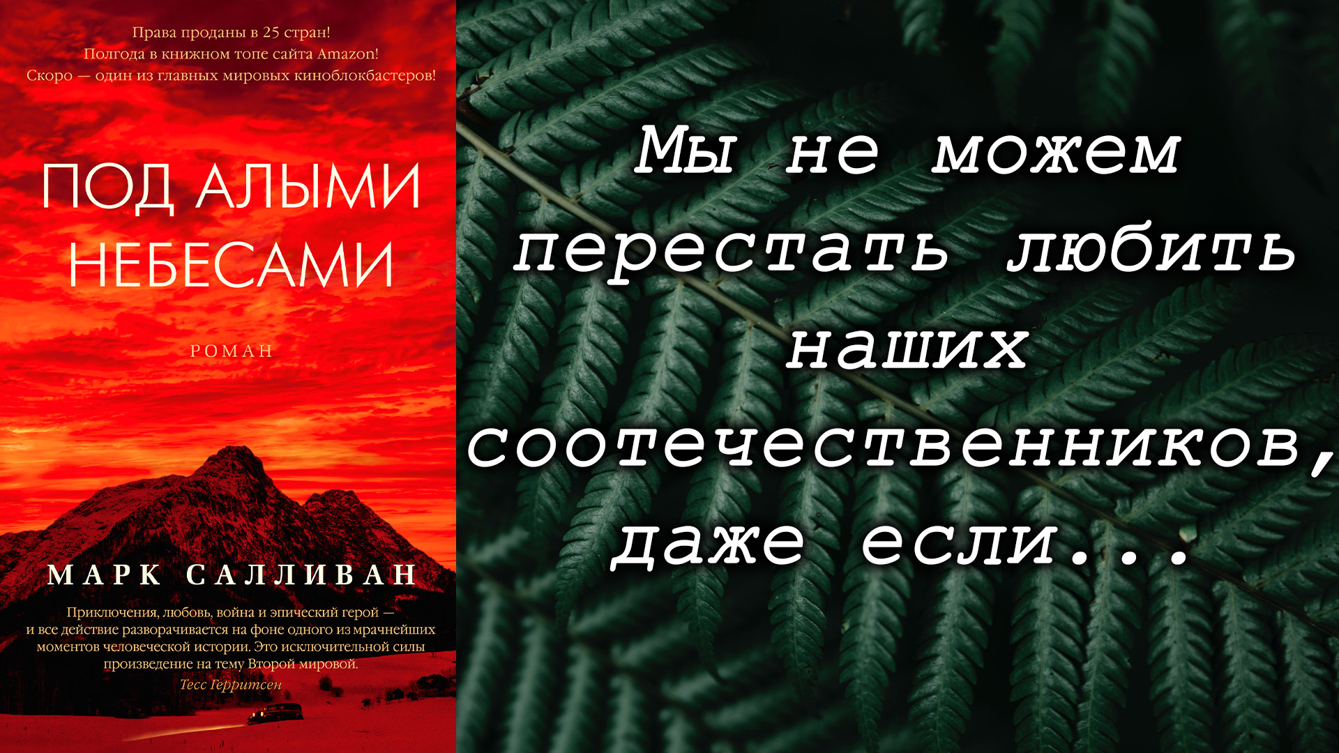 Книга под алыми небесами