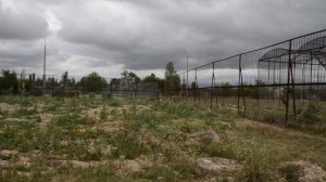 Любимец  наших зрителей лев Олежка снова  сотворил "шкоду ":)) Тайган .Крым