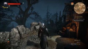 The Wicher 3: The wild hunt PC gameplay ultra settings- Graficos Maximos