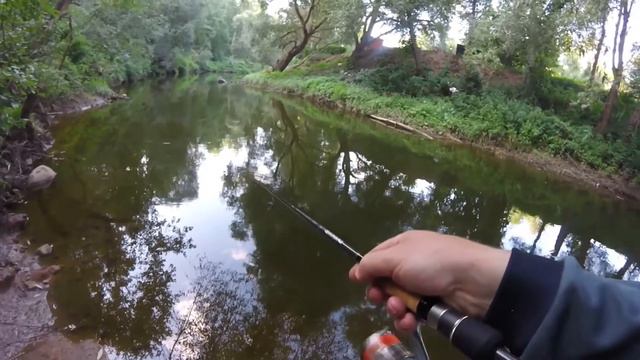 Августовский вечер на малой реке смотреть онлайн