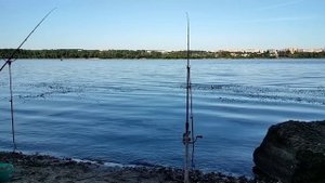 Рыбка на леща июль 2023