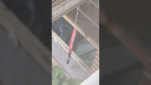 Убийство шершней часть 2. Электрическая мухобойка подвязаны на верёвке смотреть онлайн