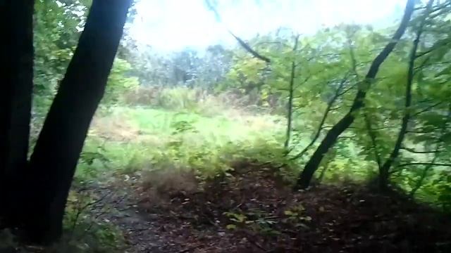 Институт садоводства до строительства " ЖК Загорье"