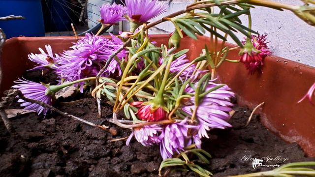 Pruebas con Rayitos de Sol (Timelapse) смотреть онлайн