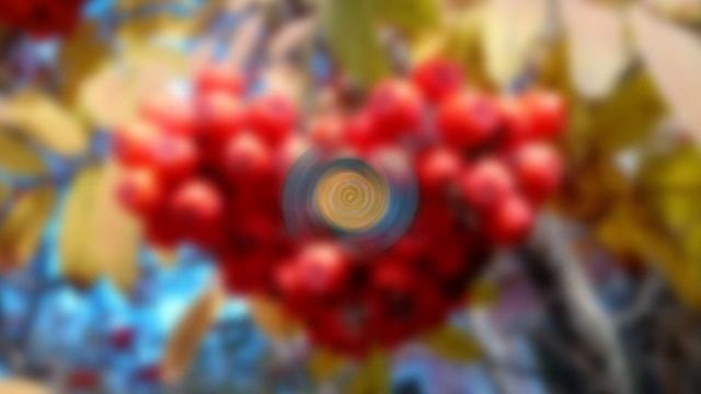 Лоскутная прихватка 
