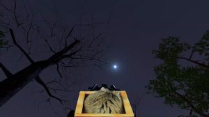 Hamster in Halloween Roller Coaster Maze 2022