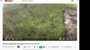 Живу на хуторе в Латгалии