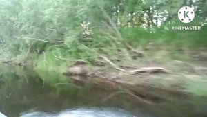 Рыбалка в удовольствие на реке Вишера.