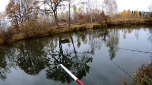 РЫБАЛКА 2019 Последние теплые деньки НА ПОПЛАВОК, отдыхаем, ловим рыбу, ОТКРЫВАЕМ НОВЫЙ КАНАЛ!