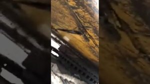 ? Выездная диагностика экскаватора Caterpillar 330DL