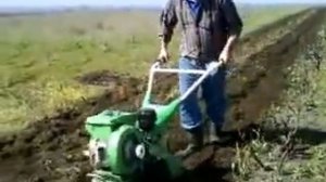 Мотоблок зубр дизель 4 ЛС ( ZUBR MZ D1)