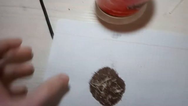Получение бертолетовой соли из спичек