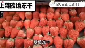 Устройство сублимационной сушки 150 кг⧸загрузка (Китай) 2 - Сытный Дом