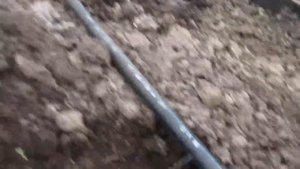 Струйный полив огурцов и перцев в теплице!