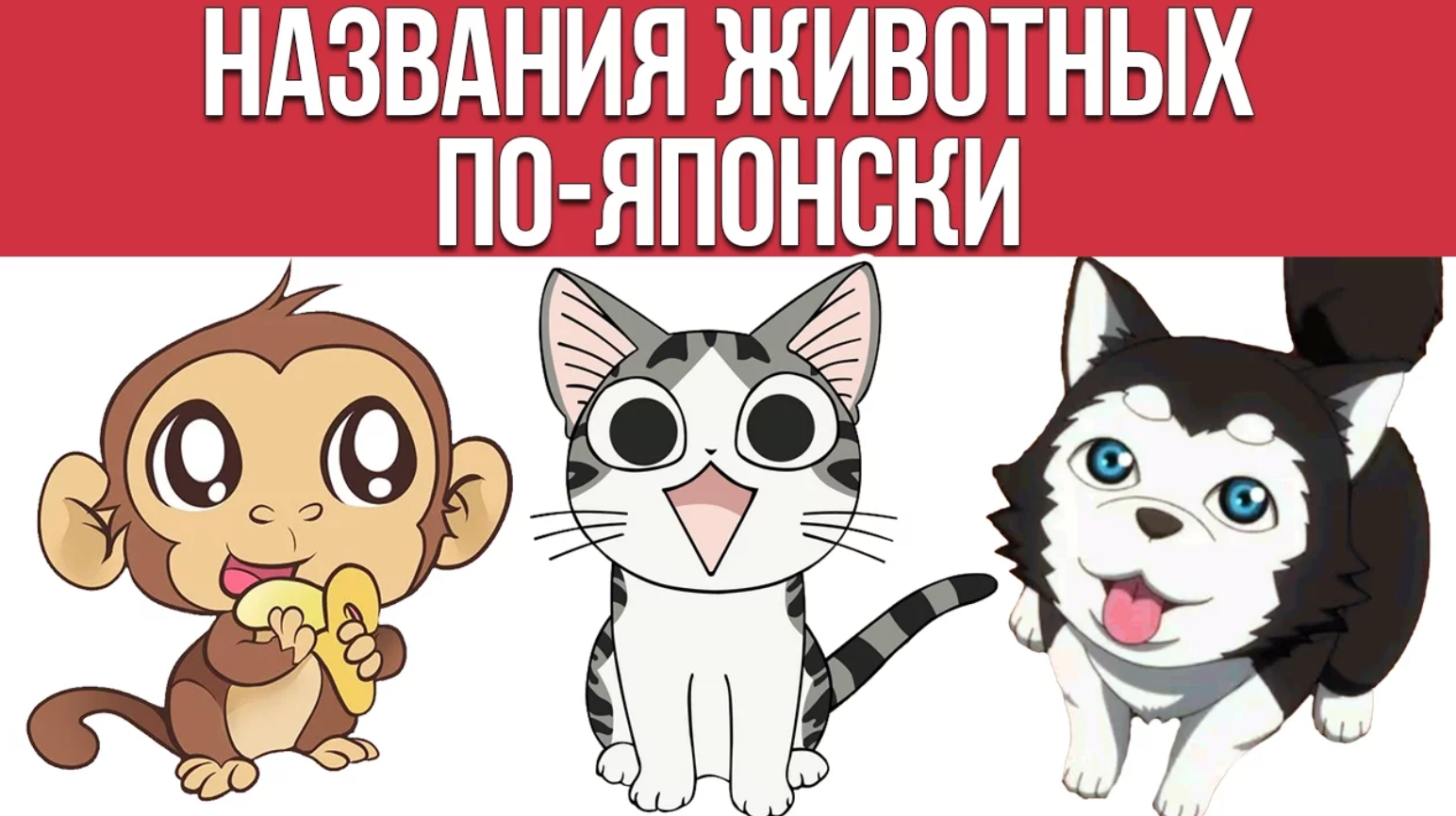 Названия животных по-японски. Японский для начинающих. Дарья Мойнич