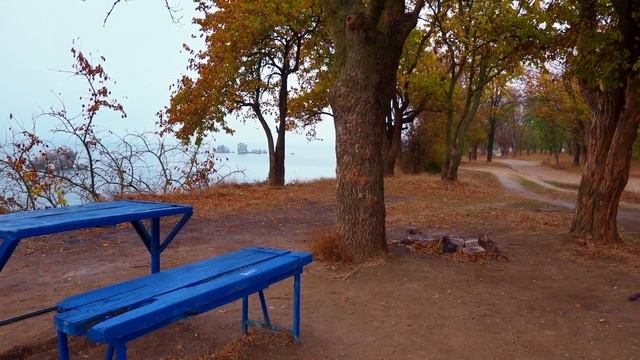 Осень.  Приморский парк.