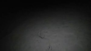 Прямая трансляция пользователя Зоя козовод Про. Прокудова