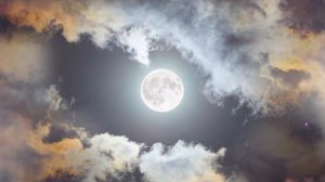 Совместимость мужчины Стрельца и женщины Тельца