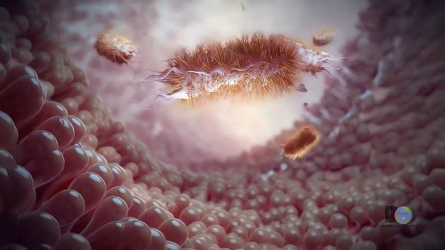 Tomé Agua Tibia con Limón durante un mes y obtuve grandes beneficios para mi salud смотреть онлайн