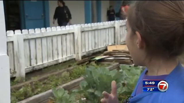 The Ed Fund's Citi Gardens Food Forest at Royal Palm Elementary смотреть онлайн