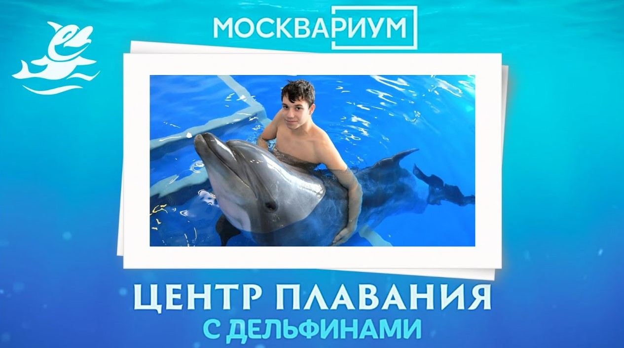 Победитель ВД-2021 Борис Степанов.  Плавание с дельфинами