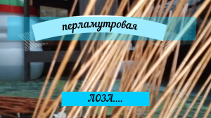 Перламутровая лоза БРОНЗА и немного морилки ДУБ....#плетение#морилка#
