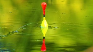 КАРАСИ МОНСТРЫ КЛЮЮТ НА ЗАКАТЕ! Рыбалка на поплавок! Поплавок крупным планом.