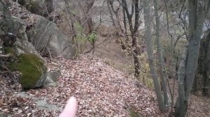 Петля на барсучьей тропе