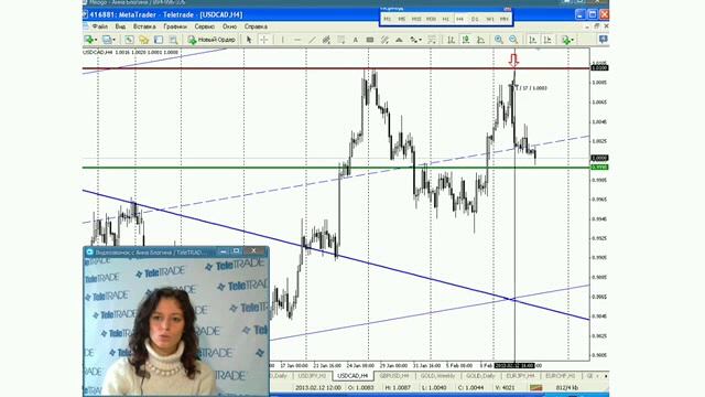 Блогина_Обсуждаем прогнозы и торговые сигналы.2013-02-14_3 смотреть онлайн