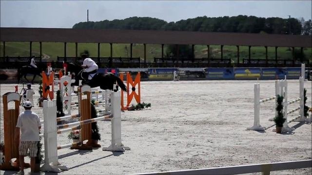 Www.reitsport.ru Оболонь г.Жашков 29.07.12