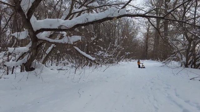 Зимние радости⛄ на электро снегоходе ?⚡ смотреть онлайн