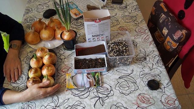 Как посадить ЛУК НА ЗЕЛЕНЬ дома  СОБИРАЕМ НАТУРАЛЬНОЕ УДОБРЕНИЕ ЧАСТЬ 1 смотреть онлайн