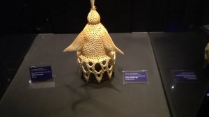 Фораминиферы и радиолярии