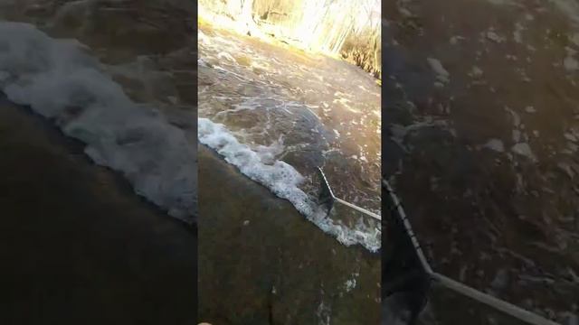 Самая быстрая рыбалка !!! смотреть онлайн