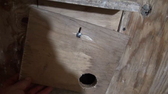 Домики для Волнистых попугаев. смотреть онлайн