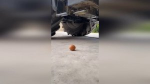 Приколы/Смешные видео (# 4)#Shorts