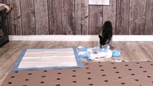 Pros And Cons With Puppy Pads! Why You May Struggle With Outside Potty Training