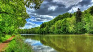 Псалтирь. ПСАЛОМ 49. [рус.]