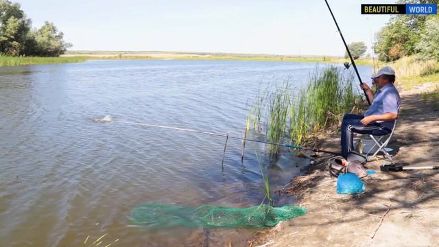 Рыбалка на карася. Уловистая донная снасть. Карась на поплавок. Рыбачим на реке Чир. О РЫБАЛКЕ №3