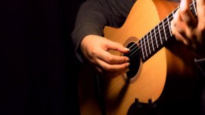 Sting - Fields of Gold | Fingerstyle Acoustic Guitar | Taylor Academy 12-N